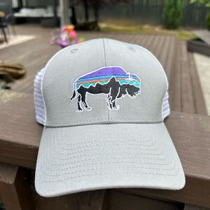 Patagonia trucker